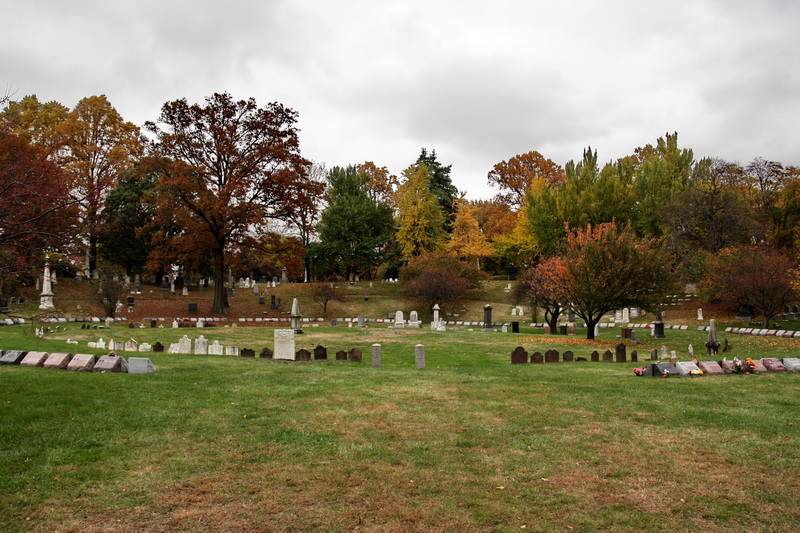 2.	De opstelling van de grafstenen van het kerkhof van Brooklyn in Cedar Dell op Green-Wood-Cemetery.